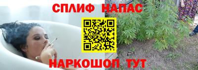 мяу мяу мука Кунгур