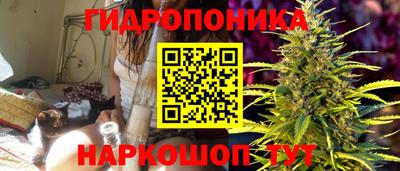 мяу мяу мука Кунгур