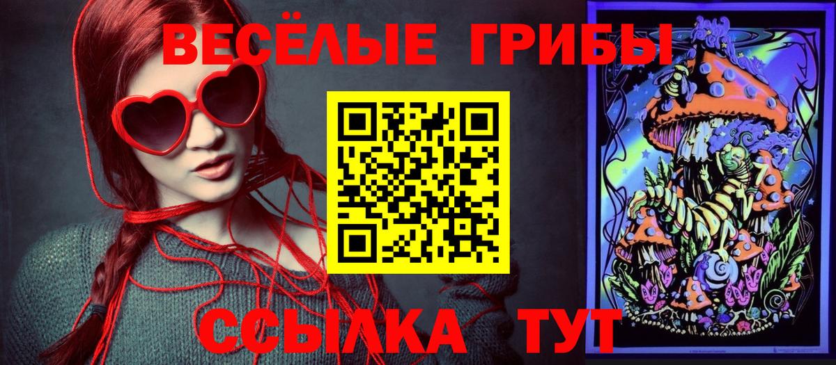 Псилоцибиновые грибы прущие грибы Качканар