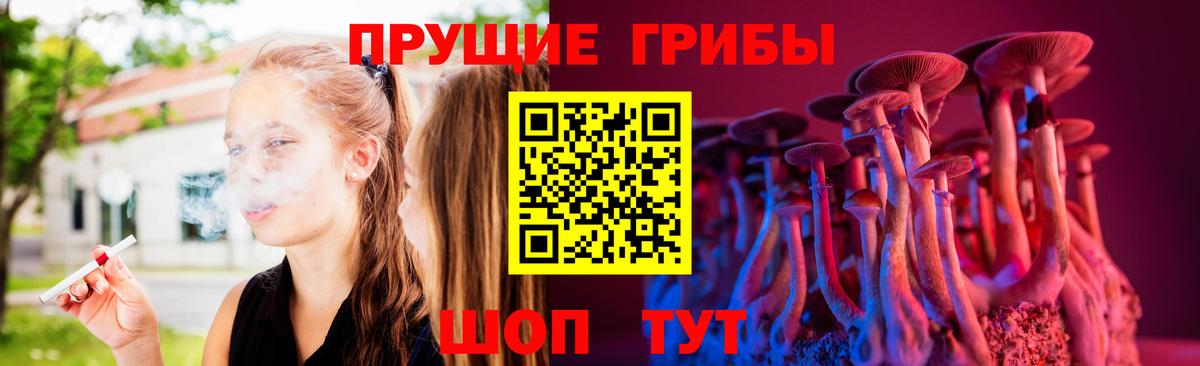 Псилоцибиновые грибы мицелий  Псилоцибиновые грибы прущие грибы  Качканар  где купить   Вход с VPN 